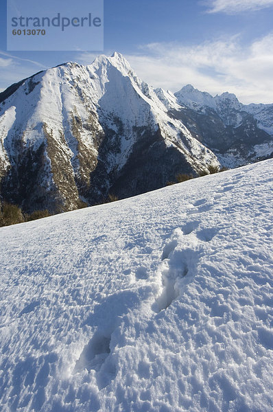 Tier Spuren im Schnee  Monte Pisanino  Garfagnana  Apuanische Alpen Regionalpark  Nord West-Toskana  Italien  Europa