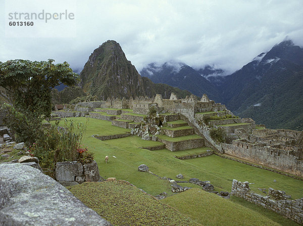 Inca archäologische Stätte von Machu Picchu  UNESCO World Heritage Site  Peru  Südamerika