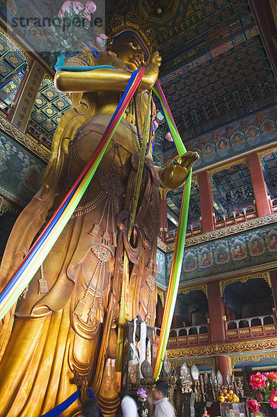 hoch oben Buch Statue aufzeichnen Peking Hauptstadt fünfstöckig Buddhismus 55-60 Jahre 55 bis 60 Jahre China Tibet Lama Lama buanicoe glama Taschenbuch Asien Buddha Gong