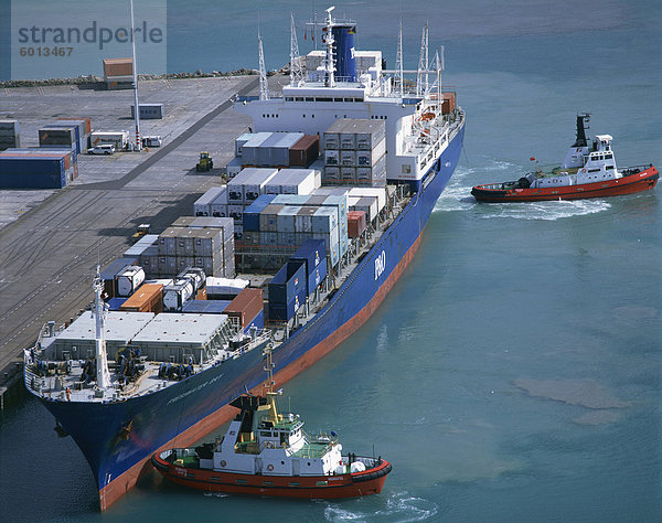 Schlepper bewegen ein Containerschiff im Hafen von Napier  Nordinsel  Neuseeland  Pazifik