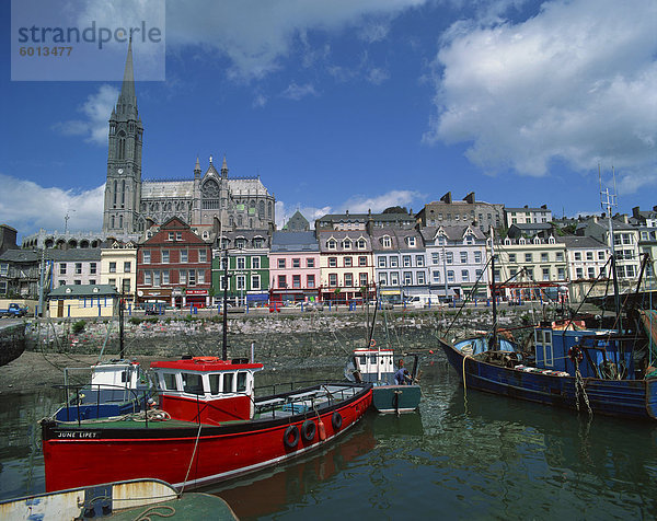 Hafen von Cobh  County Cork  Munster  Irland  Europa