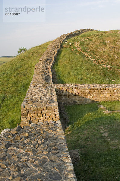 Milecastle 39  Nick Castle  Hadrianswall  UNESCO Weltkulturerbe  Nothumberland  England  Vereinigtes Königreich  Europa