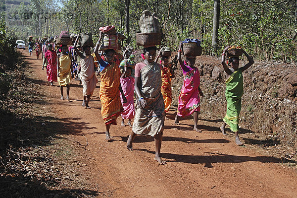 Gruppe von Didai Tribeswomen aus ihrem Dorf zu Fuß  auf dem lokalen Markt  Onukudelli  Orissa  Indien  Asien