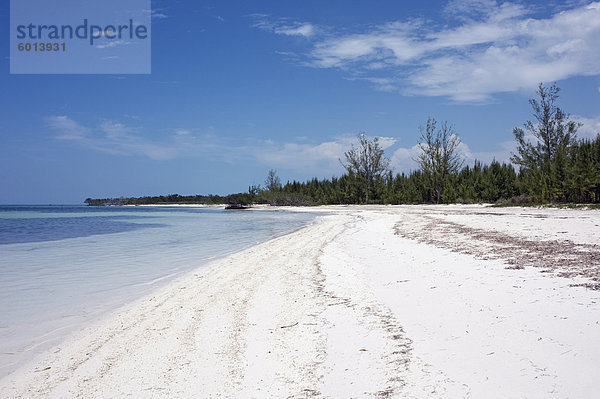 Verlassener Strand  Cayo Jutias  Pinar del RÕo  Kuba  Westindische Inseln  Caribbean  Central America