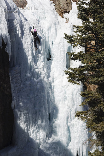 Eisklettern Sie im Ice Park  Box Canyon  Hauptstadt von Nord-Amerika  Ouray  Colorado  Vereinigte Staaten von Amerika  Klettern