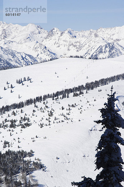 Vail Ski Resort und die Gore-Berge  Vail  Colorado  Vereinigte Staaten von Amerika  Nordamerika