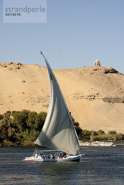 Feluke auf dem Nil  Assuan  Ägypten  Nordafrika  Afrika