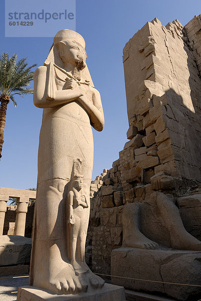 Tempel von Karnak  in der Nähe von Luxor  Theben  UNESCO World Heritage Site  Ägypten  Nordafrika  Afrika