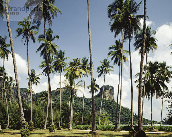 Krabi  Thailand  Südostasien  Asien