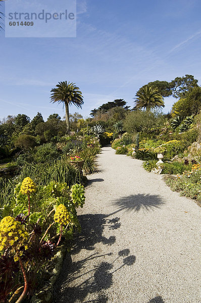 Die Abbey Gardens  Tresco  Isles of Scilly  aus Cornwall  Vereinigtes Königreich  Europa