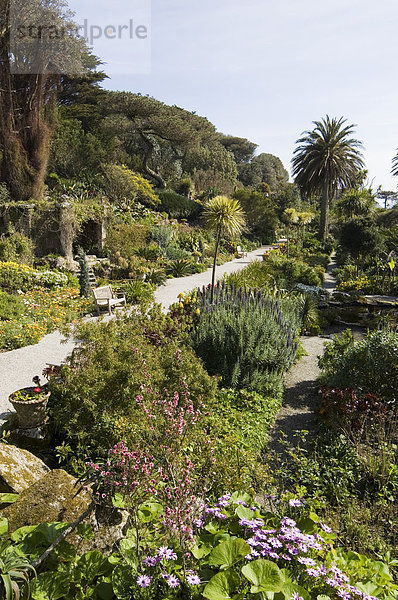 Die Abbey Gardens  Tresco  Isles of Scilly  aus Cornwall  Vereinigtes Königreich  Europa