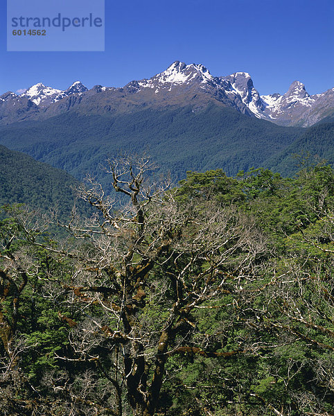 Fiordland-Nationalpark  UNESCO-Weltkulturerbe  Otago  Neuseeland  Pazifik