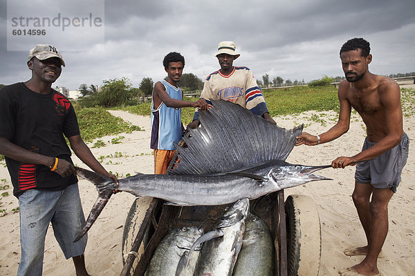 Fischer mit ihrem Fang  Malindi  Kenia  Ostafrika  Afrika