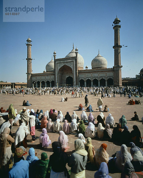 Freitag-Service bei der Moti Masjid Moschee  Red Fort  Agra  Uttar Pradesh  Indien  Asien