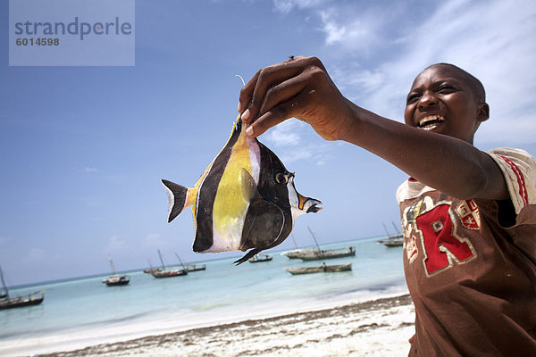 Ein tropischer Fisch Nungwi Strand  Sansibar  Tansania  Ostafrika  Afrika