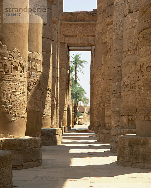 Spalten mit Hieroglyphen in die große Hypostyle Halle  Tempel von Karnak  Theben  UNESCO Weltkulturerbe  Ägypten  Nordafrika  Afrika