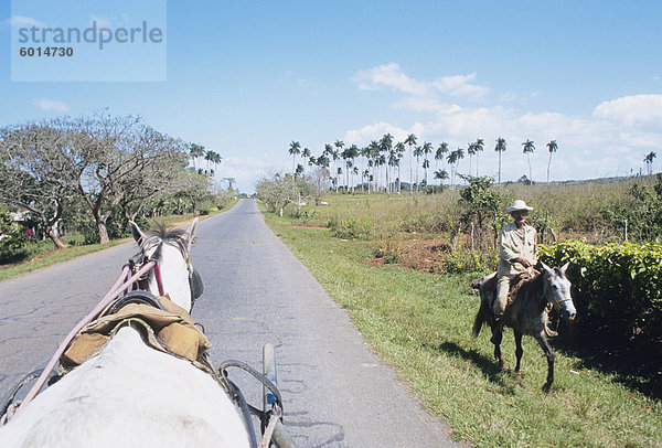 Pferdekutsche übergibt Landwirt auf dem Pferderücken  Vinales  Provinz Pinar del Río  Kuba  Westindische Inseln  Mittelamerika