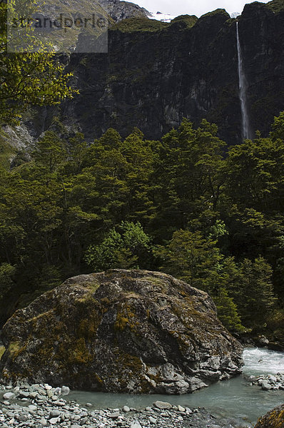 Ein Fluss-Boulder auf Rob Roy Gletscher-Wandern-Track  Mount-Aspiring-Nationalpark  Otago  Südinsel  Neuseeland  Pazifik