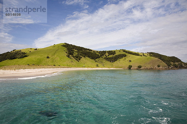 Blick zurück zur Waewaetorea Insel Freizeit Reservat mit Sandstrand über klar grün blauen Meer an Pazifikküste  Bay Islands  Northland  Nordinsel  Neuseeland  Pazifik