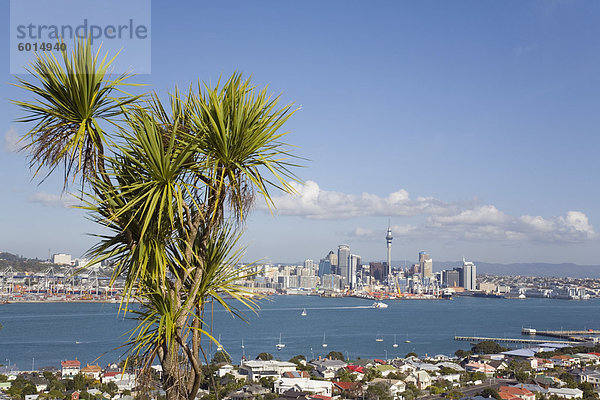 Blick auf Skyline der östlichen Stadt von Mount Victoria  Devonport über Waitemata Harbour  Auckland  Nordinsel  Neuseeland  Pazifik