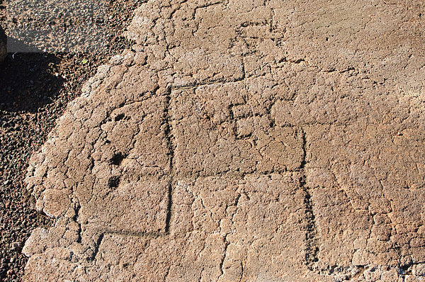 Petroglyphen  große Insel  Hawaii  Vereinigte Staaten von Amerika  Pazifik  Nordamerika