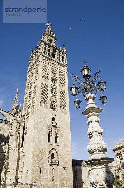 La Giralda  Santa Cruz Kreis  Sevilla  Andalusien  Spanien  Europa