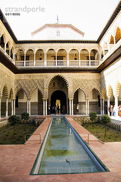 Terrasse de Las Doncellas (auf der Terrasse der Jungfrauen)  Real Alcazar  UNESCO-Weltkulturerbe  Santa Cruz Viertel  Sevilla  Andalusien (Andalucia)  Spanien