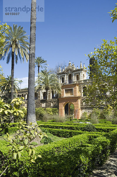 Die Gärten des Real Alcazar  UNESCO Weltkulturerbe  Viertel Santa Cruz  Sevilla  Andalusien (Andalusien)  Spanien  Europa