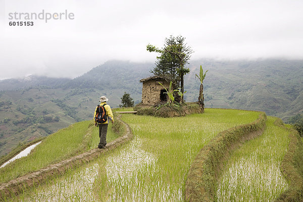 Wanderer in Reisterassen  Yuanyang  Yunnan Provinz  China  Asien