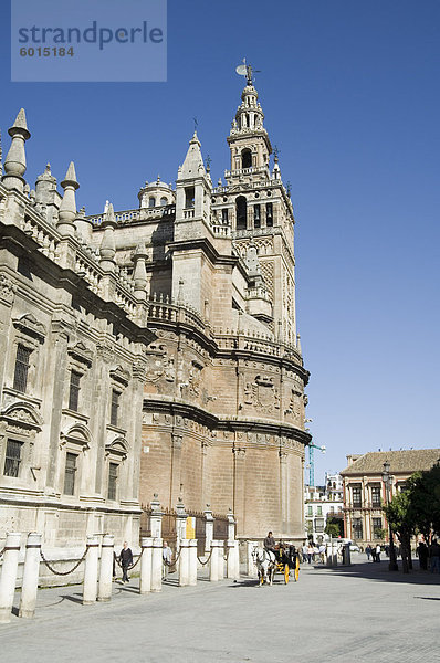 Sevilla Firmung und La Giralda  UNESCO Weltkulturerbe  Plaza Virgen de Los Reyes  Viertel Santa Cruz  Sevilla  Andalusien  Spanien  Europa