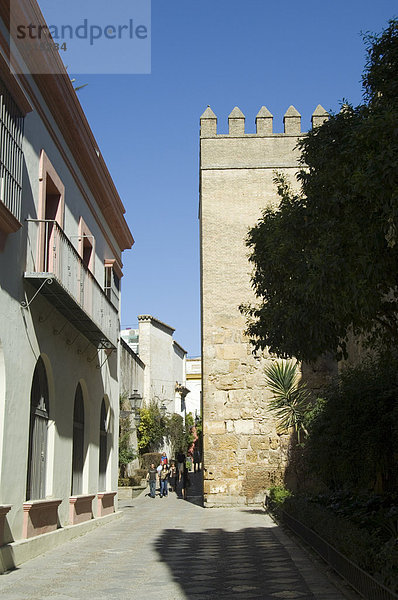 Real Alcazar  Santa Cruz Kreis  Sevilla  Andalusien (Andalusien)  Spanien  Europa