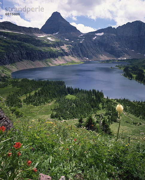 Luftaufnahme über dem Hidden-See  mit Mount Reynolds hinter  in der Nähe von Logan Pass  Glacier Nationalpark  Rocky Hochgebirge  Montana  Vereinigte Staaten von Amerika  Nordamerika