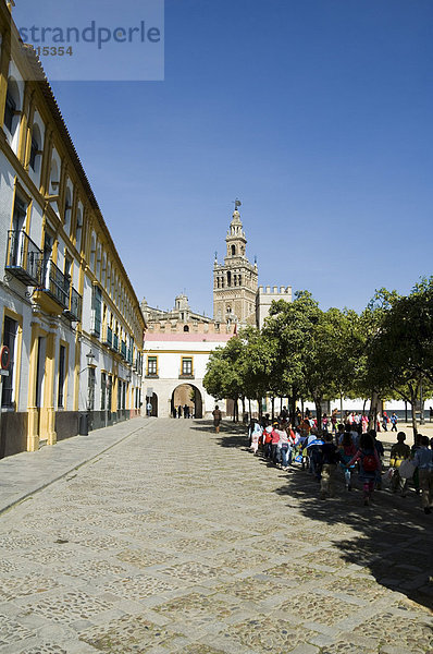 Plaza direkt vor der Ausfahrt nach dem Real Alcazar mit La Giralda in Hintergrund  Viertel Santa Cruz  Sevilla  Andalusien (Andalusien)  Spanien  Europa