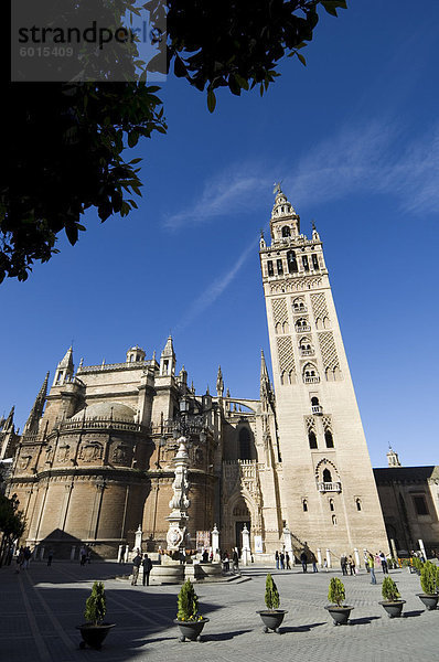 Kathedrale von Sevilla und La Giralda  UNESCO Weltkulturerbe  Plaza Virgen de Los Reyes  Viertel Santa Cruz  Sevilla  Andalusien  Spanien  Europa