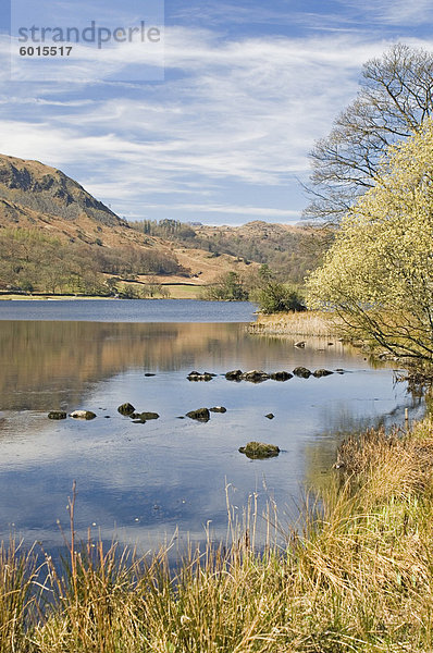 Wordsworth See  Rydal Water  Lake District-Nationalpark  Cumbria  England  Vereinigtes Königreich  Europa