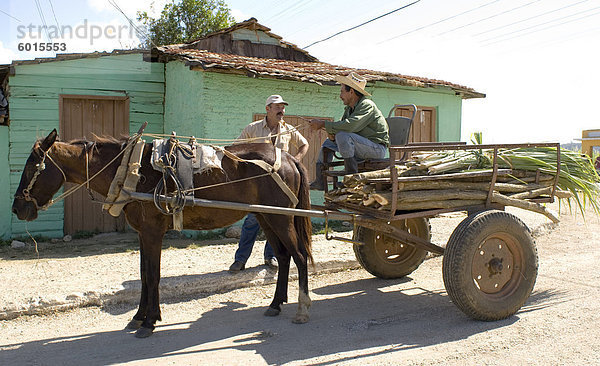Zwei Männer und eine Horsecart mit Zuckerrohr im Valle de Ingenios  zentrale Kuba  Westindische Inseln  Mittelamerika