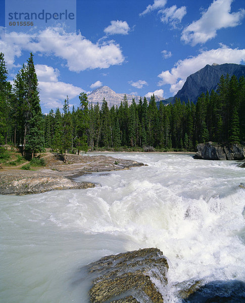 Fluss in den Rocky Mountains  Kanada  Nordamerika