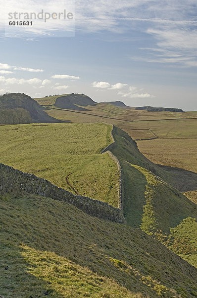 Blick nach Westen zum Kings Hill  lag Crag  Cuddy  Hotbank  und hohe Schilde  Hadrianswall  UNESCO Weltkulturerbe  Northumbria  England  Vereinigtes Königreich  Europa
