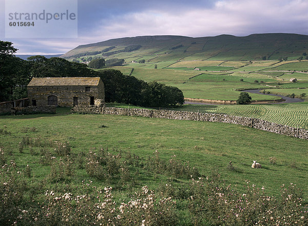 Garsdale  Yorkshire  England  Vereinigtes Königreich  Europa