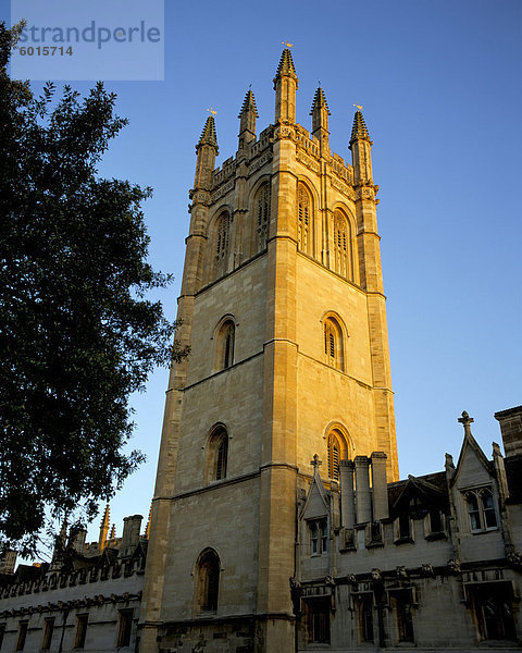 Der Turm des Magdalen College bei Sonnenaufgang  Oxford  Oxfordshire  England  Vereinigtes Königreich  Europa