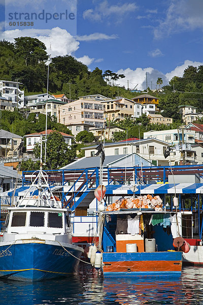 Fischerboote in Carenage Hafen  St. George's  Grenada  Windward-Inseln  kleine Antillen  Westindien  Caribbean  Mittelamerika