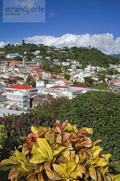 St. George's  Grenada  Windward Islands  geringerem Antillen  Westindische Inseln  Karibik  Mittelamerika