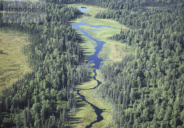 Luftbild von River  Denali Nationalpark  Alaska  Vereinigte Staaten von Amerika  Nordamerika