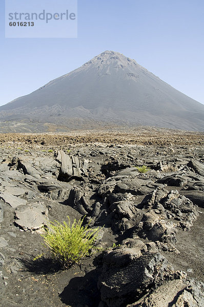 Blick von der Caldera des Vulkans Pico de Fogo  Fogo (Feuer)  Kapverdische Inseln  Afrika