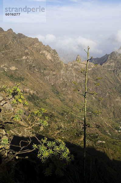 Santo Antao  Kapverdische Inseln  Afrika