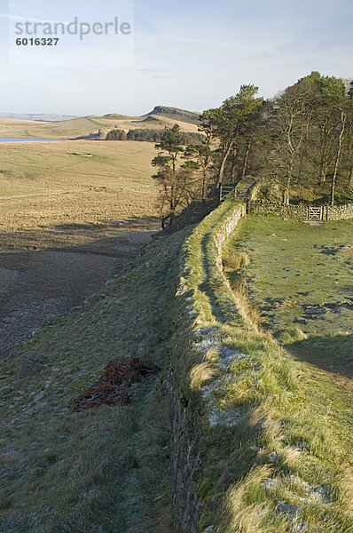 Wir östlich von Wand Milecastle 37 auf Sewingshields Crag und Broomlee Lough  Hadrianswall  UNESCO Weltkulturerbe  Northumbria  England  Vereinigtes Königreich  Europa