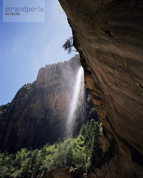 Smaragdgrünen Pool Wasserfall  Zion Nationalpark  Utah  Vereinigte Staaten von Amerika  Nordamerika
