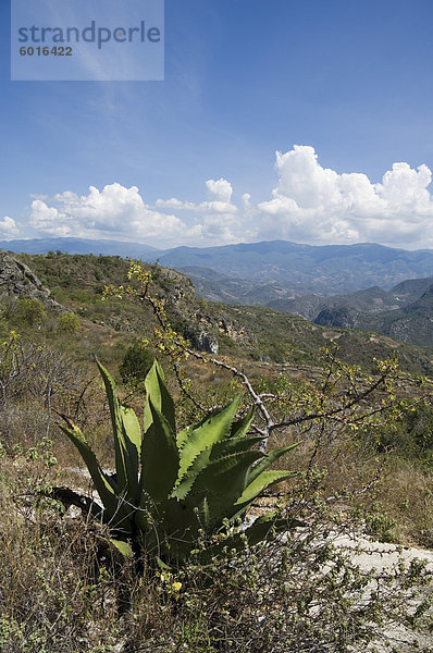 Landschaft bei Hierve el Agua  Oaxaca  Mexiko  Nordamerika