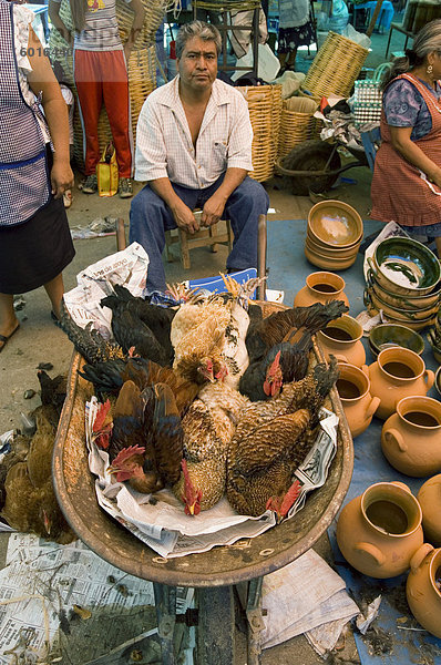 Hühner zu verkaufen in Markt  Zaachila  Oaxaca  Mexiko  Nordamerika