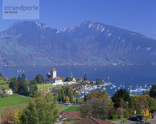 Blick über Stadt und Hafen von Spiez am See Thunersee im Berner Oberland  Schweiz  Europa
